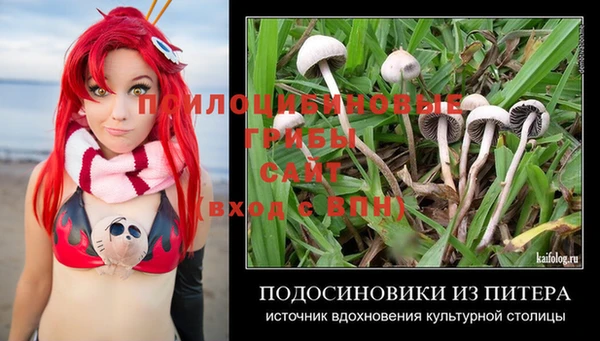 стафф Богородицк