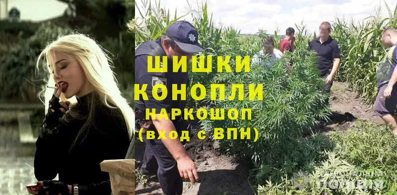 мориарти наркотические препараты  omg рабочий сайт  Бошки марихуана Ganja  Апатиты  продажа наркотиков 